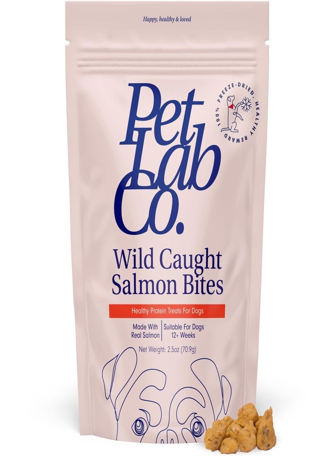 Petlab Co. Wild Caught Salmon Freeze-Dried Dog Treats, Support Overall Skin Health with Healthy Dog Treats, Packed with Beneficial Fatty Acids, Vitamins, & Minerals - Packaging May Vary - Image 1